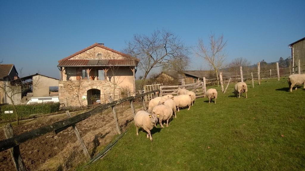 Ferme De La Corbette Bed & Breakfast Cluny Exterior photo